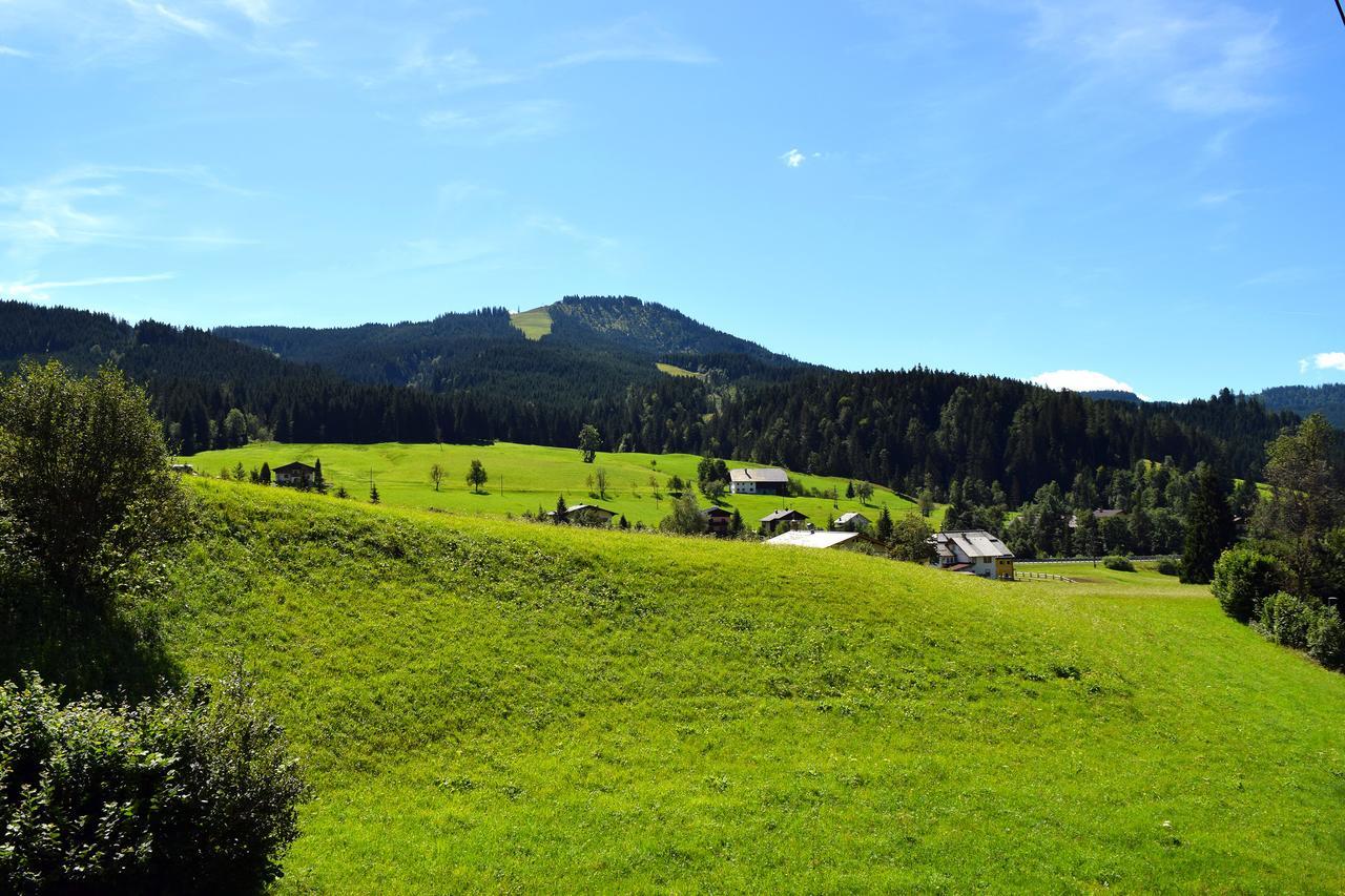 Hotel Kronenhirsch Russbach am Pass Gschütt Eksteriør billede